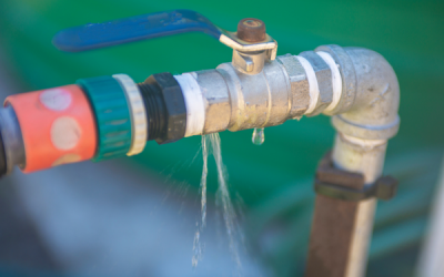 ¿Hay una fuga de agua en mi jardín?